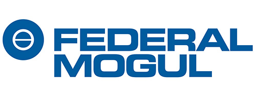 Federal Mogul